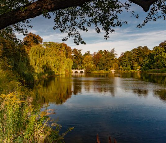 Świetne miejsce na spacer: Park im. Adama Mickiewicza w Łodzi