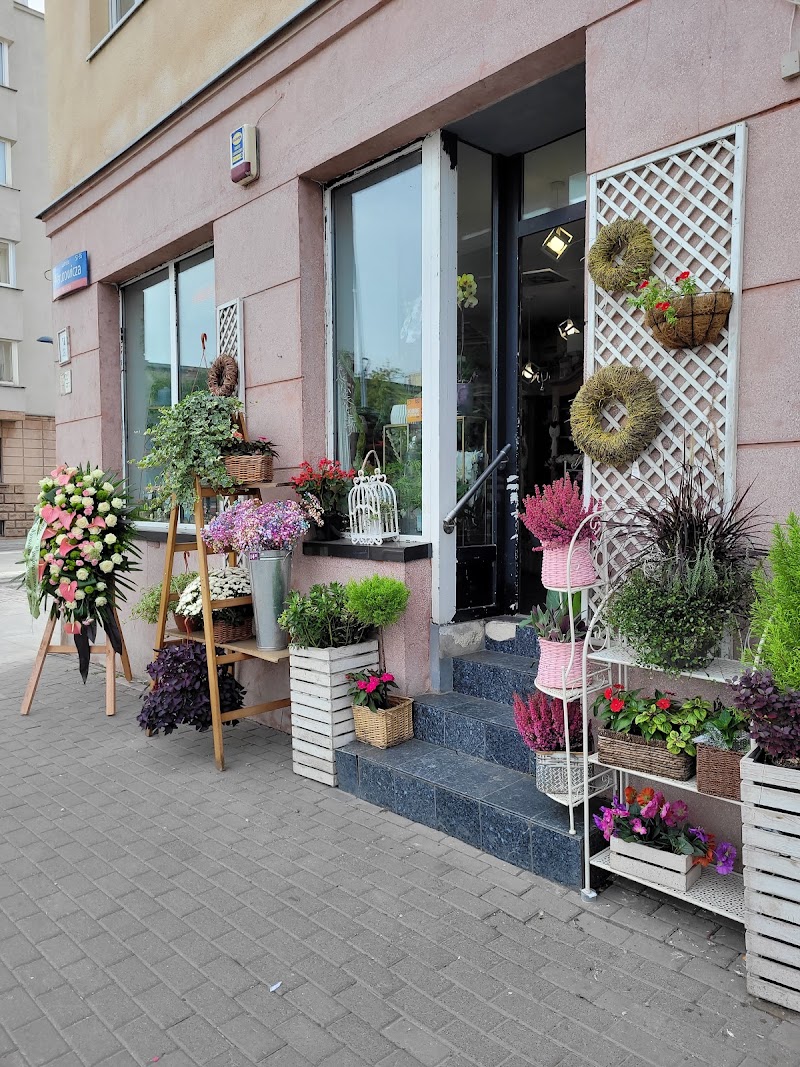 Kwiaciarnia Rosse - Plac Dąbrowskiego Łódź