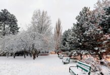 Park Helenów
