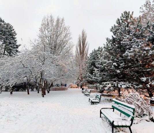 Park Helenów