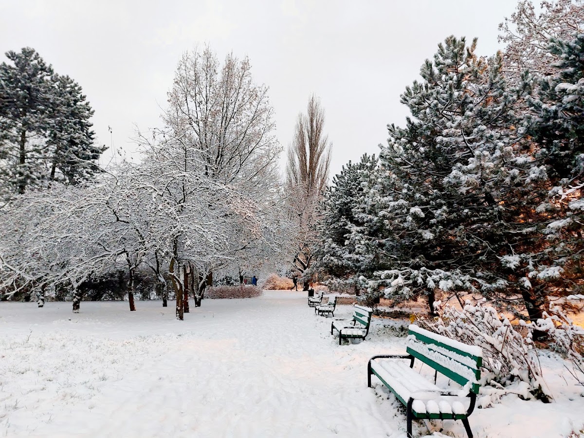 Park Helenów — Park