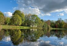 Park im. Adama Mickiewicza (Park Julianowski)