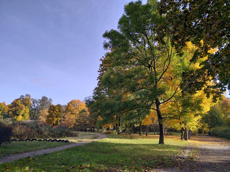 Park im. Adama Mickiewicza