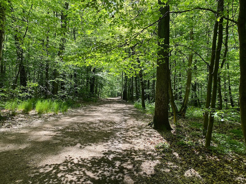 Park im. Adama Mickiewicza