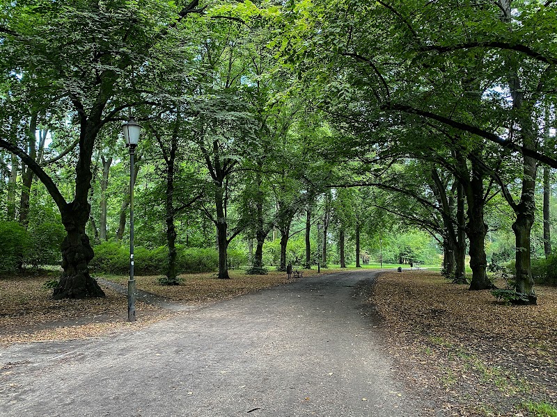 Park im. Adama Mickiewicza