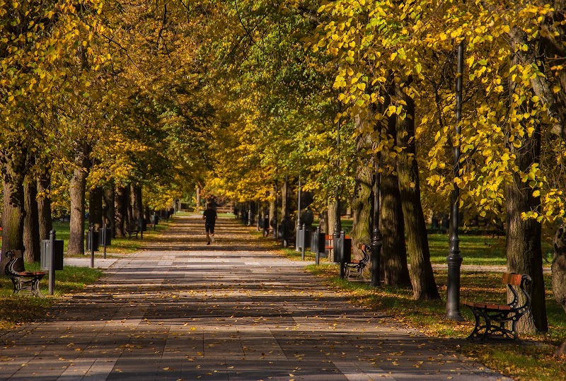 Park im. ks. Józefa Poniatowskiego