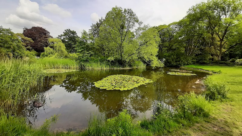 Park im. ks. Józefa Poniatowskiego