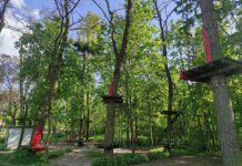 Park na Młynku