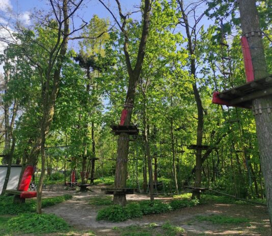 Park na Młynku