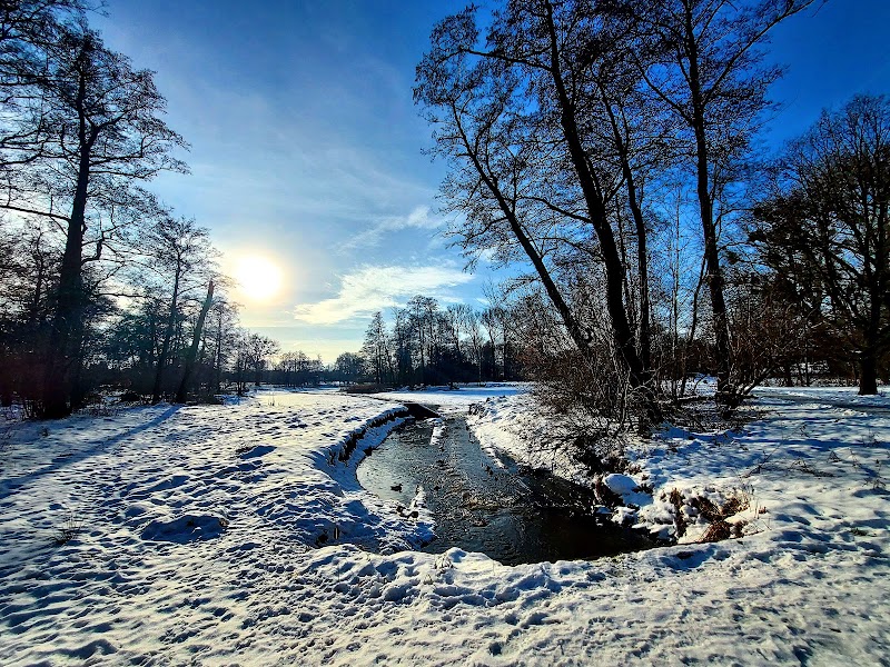 Park na Młynku