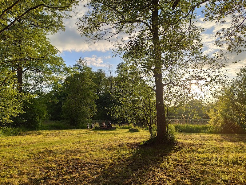 Park na Młynku