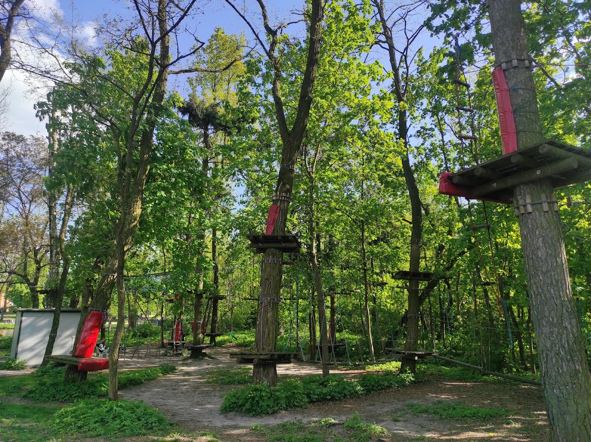 Park na Młynku — Park