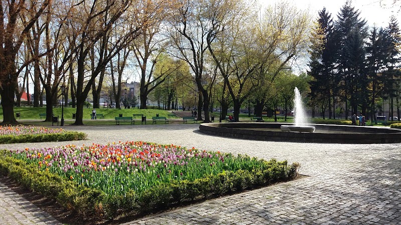 Park Staromiejski