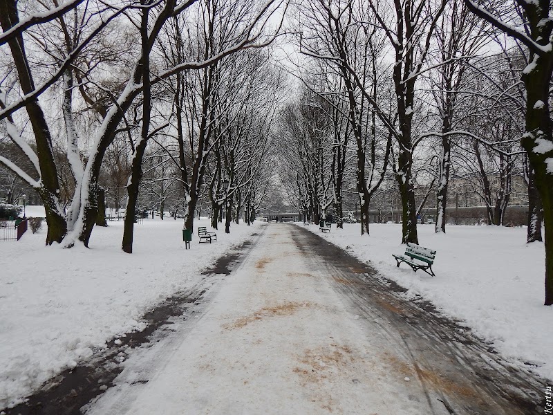 Park Staromiejski